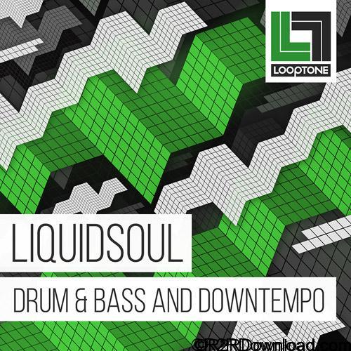 Looptone Liquidsoul Drum & Bass and Half Tempo WAV