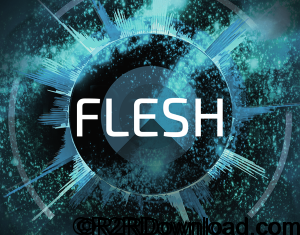 Native Instruments Flesh v1.0.0 Free Download