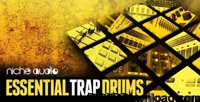 Niche Audio Essential Trap Drums Ableton 9.6+