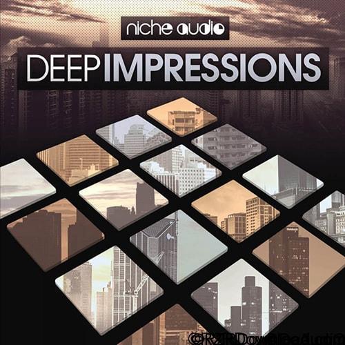 Niche audio Deep Impressions Ableton 9.6.2+