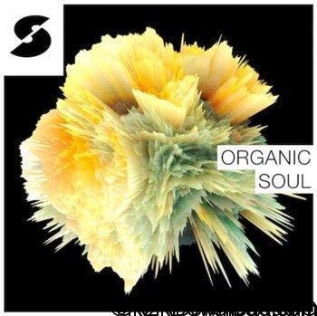 Samplephonics Organic Soul WAV