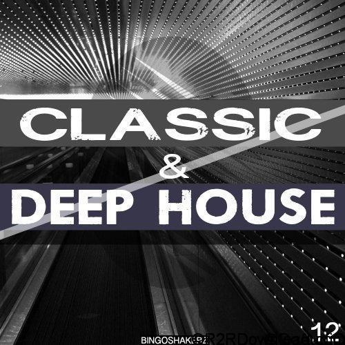 Bingoshakerz Classic and Deep House WAV MiDi AiF