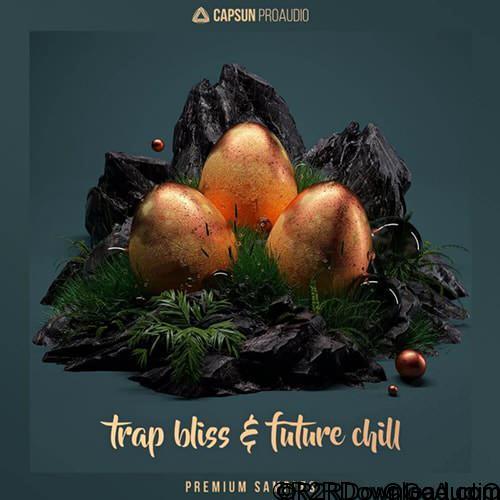 CAPSUN ProAudio Trap Bliss and Future Chill WAV REX