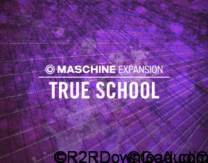 Native Instruments Maschine Expansion True School v1.1.1 UPDATE WiN