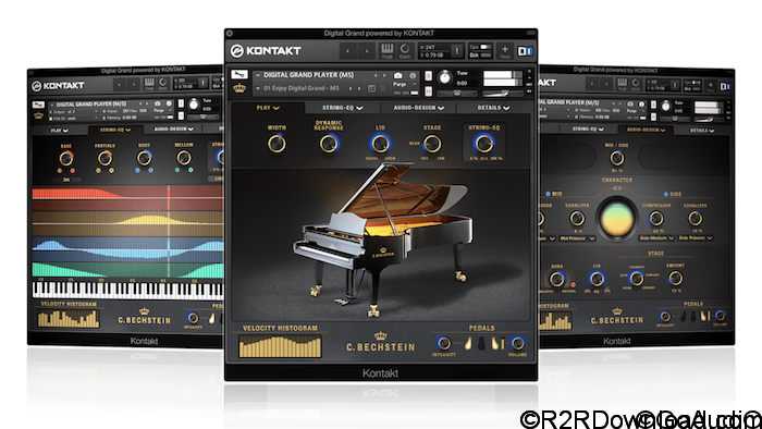 Bechstein Digital C. Bechstein Digital Grand KONTAKT