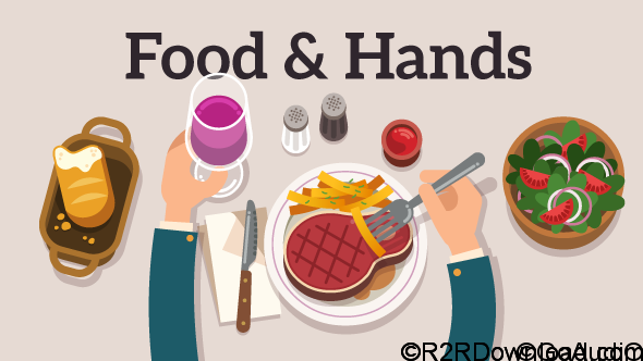 VIDEOHIVE FOOD & HANDS EXPLAINER FREE DOWNLOAD