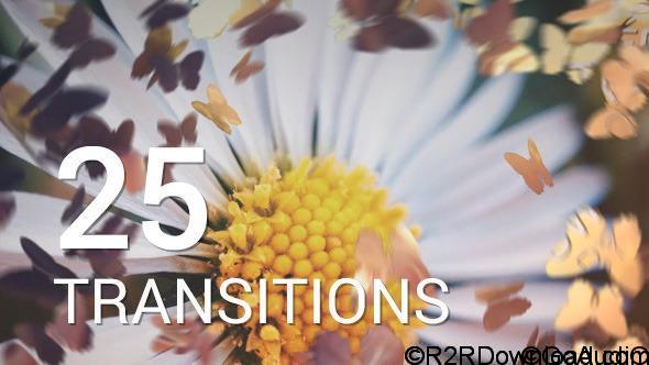 VideoHive Butterflies Transitions 12016750 Free Download