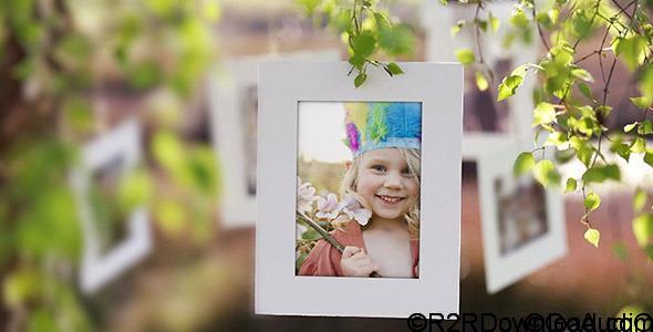 VideoHive Photo Gallery on a Sunny Afternoon Free Download