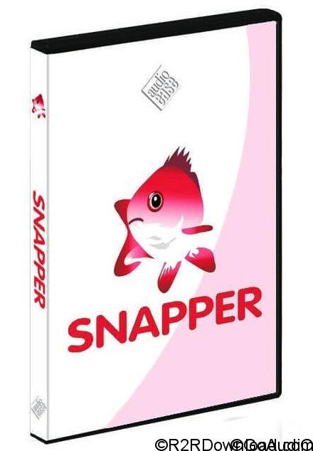 Audio Ease Snapper v2.1.10 Free Download (Mac OS X)