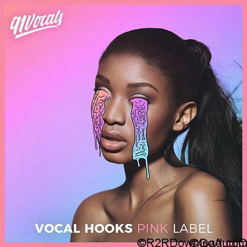 91Vocals – Vocal Hooks – Pink Label WAV