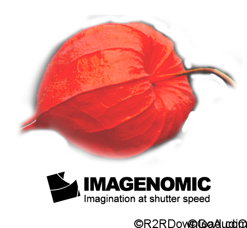 Imagenomic Plug-ins for Photoshop & Lightroom (update 23.11.2017) (Mac OS X)