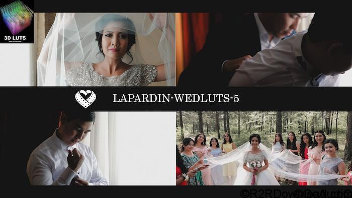 LAPARDIN WEDLUTS – Romantic Wedding LUTs for AE, PS, Premire, Resolve and FCP X (WIN-OSX)