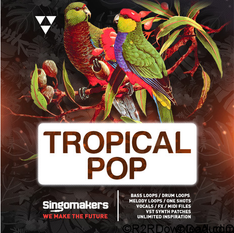 Singomakers Tropical Pop MULTiFORMAT