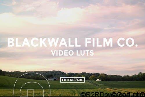 Blackwall Film Co Video LUTs Free Download