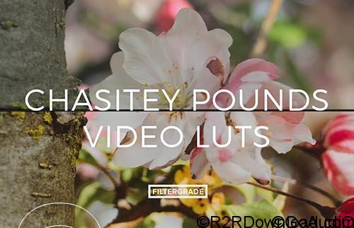 Chasitey Pounds Video LUTs Free Download