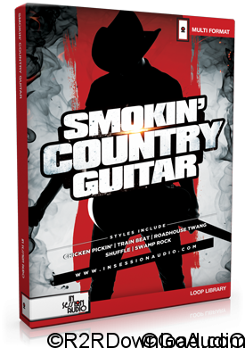 In Session Audio Smokin Country Guitar and Direct MULTiFORMAT