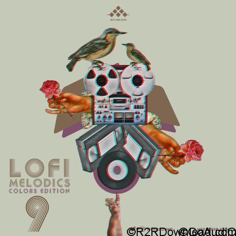 MSXII Sound Design LoFi Melodics Vol.9 Colors Edition WAV