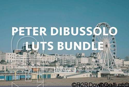 Peter Dibussolo LUTs Bundle Free Download