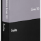 Ableton Live Suite v10.0.1 Free Download