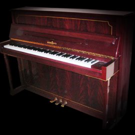 Braunschweig Upright (Pro)