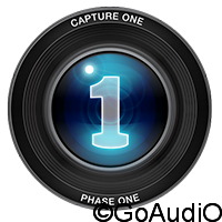 PhaseOne Capture One Pro 10.0.2.8 Multilingual (x64)