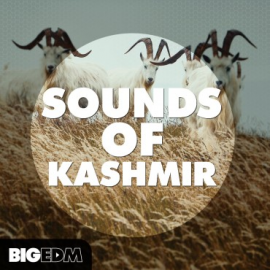 Big EDM Sounds Of Kashmir WAV MiDi Sylenth1 Spire Serum