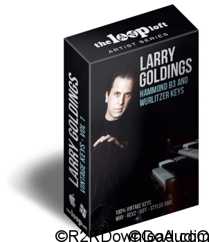 The Loop Loft Larry Goldings Vintage Keys Volume 1 WAV