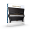 XLN Audio Modern Upright [WIN]