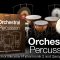 IK Multimedia Orchestral Percussion [WIN-OSX]