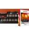 Arturia VOX Continental V2 v2.3.0.1391 Free Download