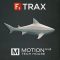 F9 TRAX Motion : Tech House V1.0 ULTIMATE ALL Formats