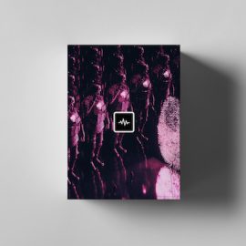 WavSupply Nick Mira Luna Omnisphere Bank