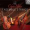 Chris Hein Ensemble Strings KONTAKT