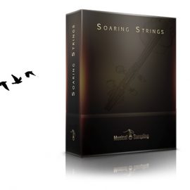 Musical Sampling Soaring Strings KONTAKT