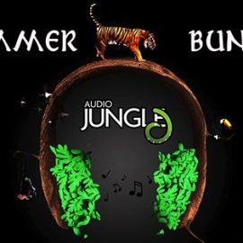 AudioJungle 2018 Summer Bundle