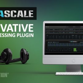 W.A Production InstaScale v1.0.0 (WIN-OSX)