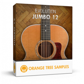 Evolution Jumbo 12 KONTAKT