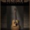 Indiginus Renegade Acoustic Guitar KONTAKT