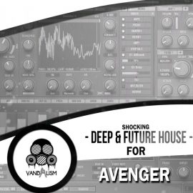 Vandalism – Shocking Deep & Future House For Avenger