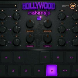 Bollywood Maharaja Drums 2 VST AU [WIN-MAC]