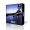 Impact Soundworks PEARL Concert Grand v2.0 KONTAKT UPDATE