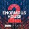 Audentity Records E-Normous House 2 WAV MiDi Serum Presets