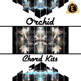 Electronisounds Orchid Chord Kits WAV