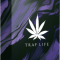 Trap Life Trap Life Volume 1 WAV