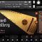 Versilian Studios Bowed Psaltery KONTAKT