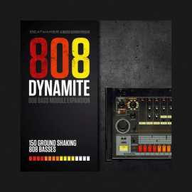 Elektronik Sound Lab 808 Dynamite Expansion for 808 Bass Module III UPDATE 3