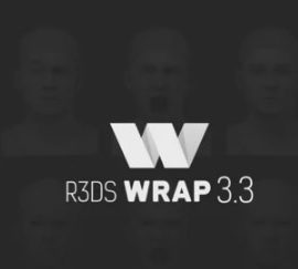 R3DS WRAP v3.3.17 Nodelocked iND Free Download [Win]