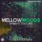 Soundtrack Loops Mellow Moods Ambient Textures WAV