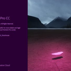 Adobe Premiere Pro CC 2019 v13.0.2 Free Download [Win-Mac]