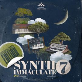 MSXII Audio Synth Immaculate 7 MULTiFORMAT